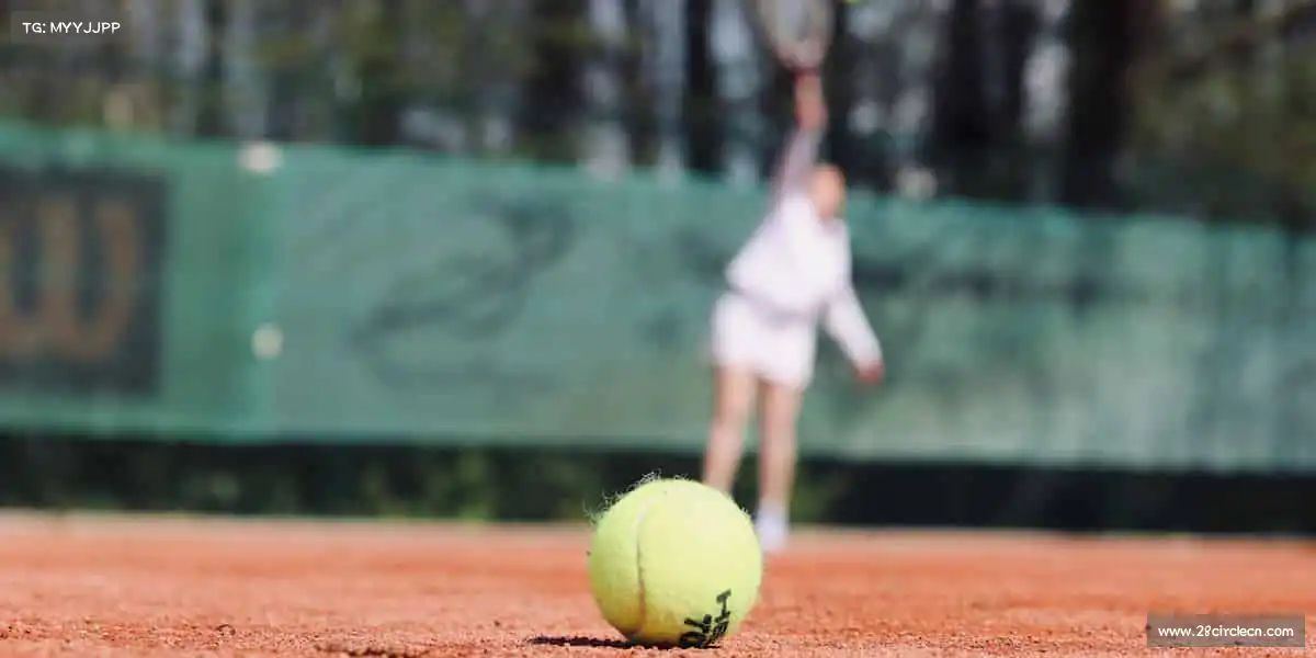 28圈网页版——十项全能，冠绝群雄！